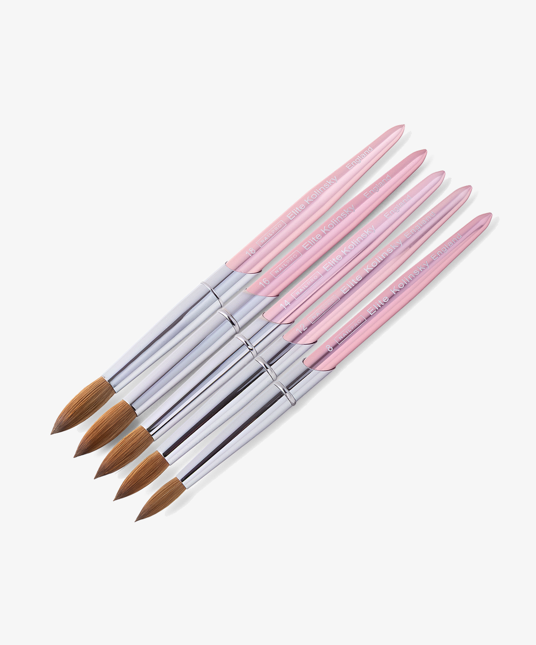 Kolinsky Sable 8 12 14 16 18